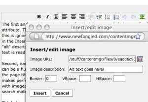 Screenshot of how to add Image Description in Newfangled CMS